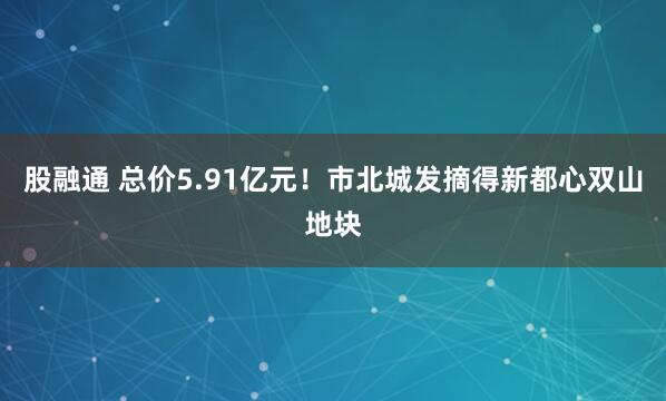 股融通 总价5.91亿元！市北城发摘得新都心双山地块