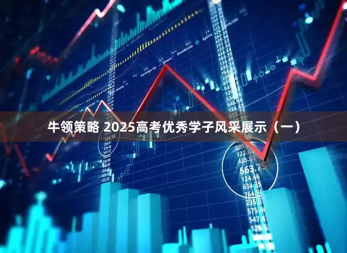 牛领策略 2025高考优秀学子风采展示（一）