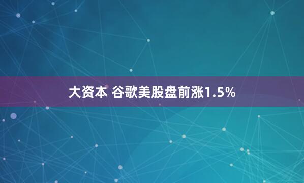 大资本 谷歌美股盘前涨1.5%